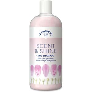 Dorwest Scent and Shine Shampoo - Shampoo Dorwest Scent and Shine Shampoo - Shampoo