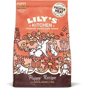 Lily's Kitchen Puppy Chicken and Salmon Complete (1 kg) Lily's Kitchen Puppy Chicken and Salmon Complete (1 kg)