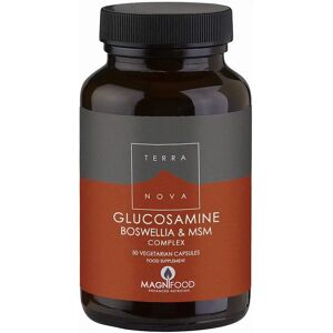 Terra Nova Glucosamine Boswellia MSM Joint Support - 50 Vegicaps Terra Nova Glucosamine Boswellia MSM Joint Support - 50 Vegicaps