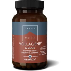 Terranova Vegan Collagen & Silica Complex 50 Capsules - Supports Skin, Hair, Nails, Joints Terranova Vegan Collagen & Silica Complex 50 Capsules - Supports Skin, Hair, Nails, Joints