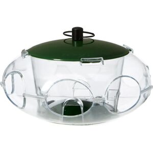 Peckish Small Bird Seed Feeder - Bird Seed Feeder for Small Birds Peckish Small Bird Seed Feeder - Bird Seed Feeder for Small Birds