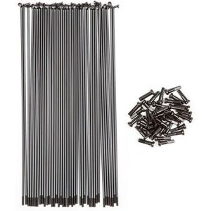 Raggi in Acciaio Inox BSD 184 mm - Set da 40 Nipples Neri Raggi in Acciaio Inox BSD 184 mm - Set da 40 Nipples Neri