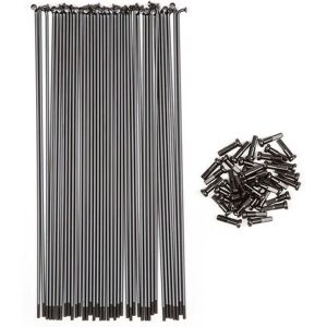 Bsd 186 mm Raggi in Acciaio Inossidabile - Confezione da 40 Bsd 186 mm Raggi in Acciaio Inossidabile - Confezione da 40