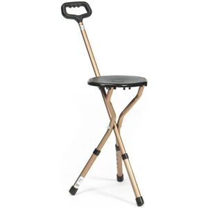 Drive DeVilbiss Cane Seat - Walking Cane With Folding Seat - Support Stick Drive DeVilbiss Cane Seat - Walking Cane With Folding Seat - Support Stick