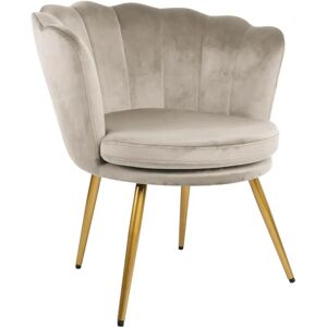 RayGar Genesis Flora Accent Chair - Velvet Petal Back Taupe RayGar Genesis Flora Accent Chair - Velvet Petal Back Taupe