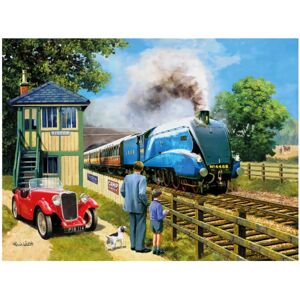 Kidicraft Kevin Walsh 1000-Piece Jigsaw Puzzle Kidicraft Kevin Walsh 1000-Piece Jigsaw Puzzle