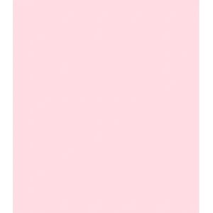 ARK Lichtroze A4 240gsm Gekleurd Karton - Set van 10 Vellen ARK Lichtroze A4 240gsm Gekleurd Karton - Set van 10 Vellen