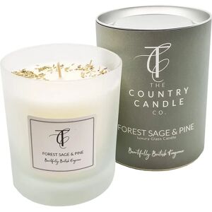 Stoneglow Forest Sage Pine Candle - Festive Scented Candle Jar Stoneglow Forest Sage Pine Candle - Festive Scented Candle Jar