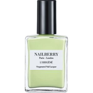 Vernis Pistache Nailberry - Longue Durée, Séchage Rapide, Convient à Tous les Teints - Publicité Vernis Pistache Nailberry - Longue Durée, Séchage Rapide, Convient à Tous les Teints - Publicité