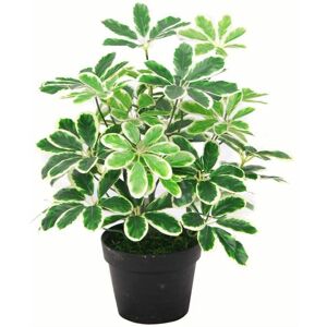 Genuine Leaf Design UK Artificial Variegated Schefflera Arboricola Plant - Green Genuine Leaf Design UK Artificial Variegated Schefflera Arboricola Plant - Green
