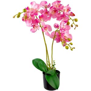 Leaf Design UK Artificial Orchid Display - 60cm, Green Leaf Design UK Artificial Orchid Display - 60cm, Green