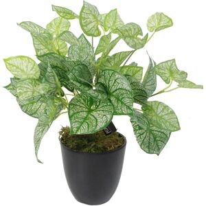 Leaf Design UK 40cm Artificial Caladium Plant - Artificial Plant Leaf Design UK 40cm Artificial Caladium Plant - Artificial Plant