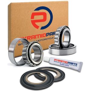 Pyramid Tm Racing Steering Head Bearings & Seals - Steering Head Bearings & Seals Pyramid Tm Racing Steering Head Bearings & Seals - Steering Head Bearings & Seals