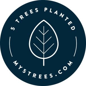 Lenovo ThinkPad T480s - i5-8250U - 16GB RAM - 256GB SSD - 14" FHD - Windows 10 Pro - Black Lenovo ThinkPad T480s - i5-8250U - 16GB RAM - 256GB SSD - 14" FHD - Windows 10 Pro - Black