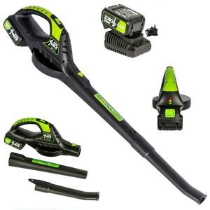 Mylek 4orce - 20V - Li-ion Battery - Fast Charger - Leaf Blower Mylek 4orce - 20V - Li-ion Battery - Fast Charger - Leaf Blower