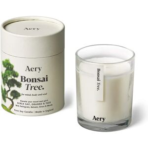 Aery Botanical Bonsai Tree 200g Scented Candle - Candle Aery Botanical Bonsai Tree 200g Scented Candle - Candle