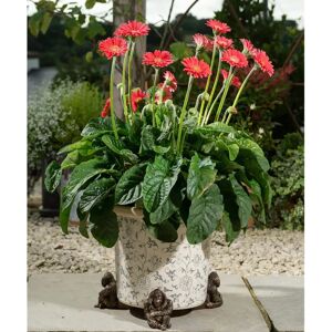 Jardinopia Orangutan Plant Pot Feet - Frostproof 3pc Jardinopia Orangutan Plant Pot Feet - Frostproof 3pc