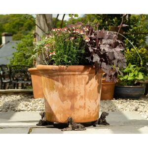 Jardinopia Irish Setter Plant Pot Feet - Bronze - Set of 3 - Plant Support Jardinopia Irish Setter Plant Pot Feet - Bronze - Set of 3 - Plant Support