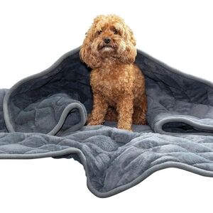 Couverture Pondérée KONG pour Chiens - Gris - Soulagement du Stress - Publicité Couverture Pondérée KONG pour Chiens - Gris - Soulagement du Stress - Publicité