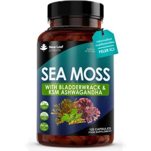 New Leaf Products KSM Ashwagandha 120 Vegan Capsules - Vegan Capsules New Leaf Products KSM Ashwagandha 120 Vegan Capsules - Vegan Capsules