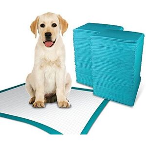 MantraRaj - Large Size - 60x60 cm - Puppy Training Pads MantraRaj - Large Size - 60x60 cm - Puppy Training Pads