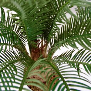 Leaf 60cm Cycas Palm Plant Artificial Tropical Tree - Artificial Plant Leaf 60cm Cycas Palm Plant Artificial Tropical Tree - Artificial Plant