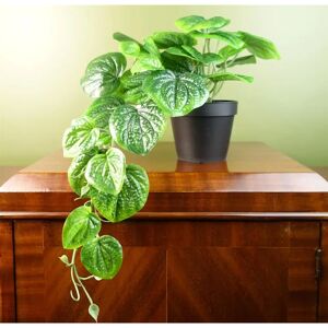 Hoja 35cm Planta de Pothos Artificial Colgante en Maceta - Planta Artificial Hoja 35cm Planta de Pothos Artificial Colgante en Maceta - Planta Artificial