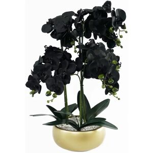 Leaf 60cm Orchid Artificial Black - Gold Ceramic Planter - Dried Flowers & Plants Leaf 60cm Orchid Artificial Black - Gold Ceramic Planter - Dried Flowers & Plants