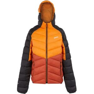 Regatta Dalent Waterproof Insulated Jacket - Jacket Regatta Dalent Waterproof Insulated Jacket - Jacket