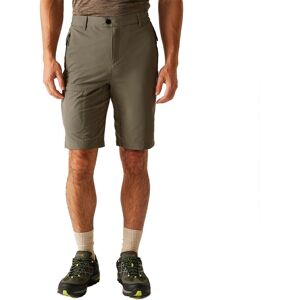Regatta Highton II Treetop Short Long - Imperméable - Publicité Regatta Highton II Treetop Short Long - Imperméable - Publicité