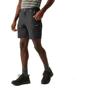 Regatta Leesville III Lightweight Quick Drying Shorts Ash Regatta Leesville III Lightweight Quick Drying Shorts Ash