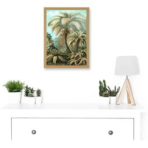 Artery8 - Nature Biology Ferns Ernst Haeckel - Framed Wall Art Print Artery8 - Nature Biology Ferns Ernst Haeckel - Framed Wall Art Print