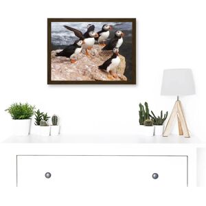 Artery8 - Puffins - Brown - A4 - Framed Wall Art Print Artery8 - Puffins - Brown - A4 - Framed Wall Art Print