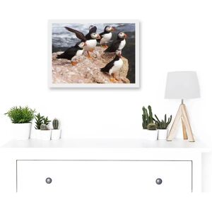 Artery8 - Puffins North Atlantic - White - A4 - Framed Wall Art Artery8 - Puffins North Atlantic - White - A4 - Framed Wall Art