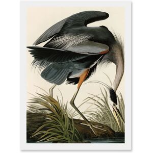 Artery8 - Audubon Birds Great Blue Heron - Framed - A4 - Wall Art Artery8 - Audubon Birds Great Blue Heron - Framed - A4 - Wall Art