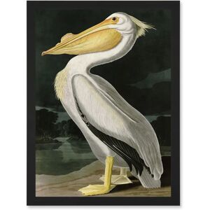 Artery8 - Audubon Birds White Pelican - White - Wall Art Artery8 - Audubon Birds White Pelican - White - Wall Art