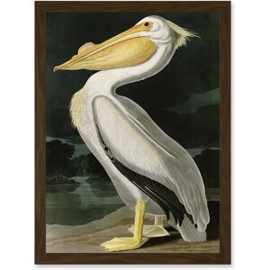 Artery8 - Audubon Birds White Pelican - White - A4 - Framed Wall Art Artery8 - Audubon Birds White Pelican - White - A4 - Framed Wall Art