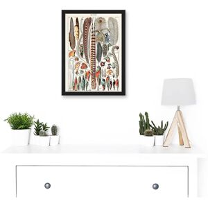 Artery8 - Millot Encyclopedia - Black - A4 - Wall Art Artery8 - Millot Encyclopedia - Black - A4 - Wall Art