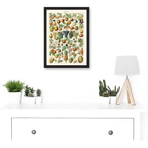 Artery8 - Millot Encyclopedia - Vintage Fruit Grape Pineapple - Wall Art Artery8 - Millot Encyclopedia - Vintage Fruit Grape Pineapple - Wall Art