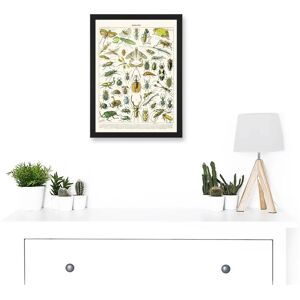 Artery8 - Millot Encyclopedia - A4 - Wall Art Print Artery8 - Millot Encyclopedia - A4 - Wall Art Print