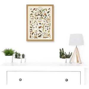 Artery8 Millot Encyclopedia - A4 - Framed - Art Print Artery8 Millot Encyclopedia - A4 - Framed - Art Print