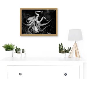 Artery8 - Animal Octopus - A4 - Framed - Wall Art Artery8 - Animal Octopus - A4 - Framed - Wall Art