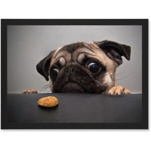 Artery8 - Animal Photo Pug - Framed A4 Wall Art Print Artery8 - Animal Photo Pug - Framed A4 Wall Art Print