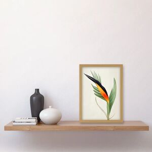 Artery8 - Tropical Bird of Paradise - Gold - A4 - Art print Artery8 - Tropical Bird of Paradise - Gold - A4 - Art print