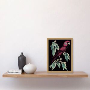 Artery8 - Burgundy Parakeet - Framed Wall Art Artery8 - Burgundy Parakeet - Framed Wall Art