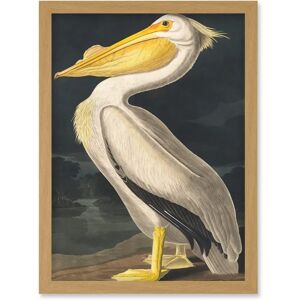 Artery8 - Audubon Pelican - Light Oak - A4 - Framed Wall Art Artery8 - Audubon Pelican - Light Oak - A4 - Framed Wall Art