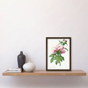 Artery8 - Vintage Pink Peony Illustration - A4 - Wall Art Print Artery8 - Vintage Pink Peony Illustration - A4 - Wall Art Print