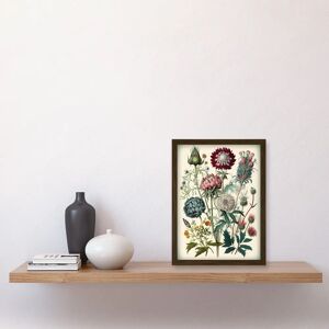 Artery8 - Ernst Haeckel Botanical - Brown Artery8 - Ernst Haeckel Botanical - Brown