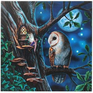 Lisa Parker Fairy Tales Canvas Framed Plaque - Light Up Lisa Parker Fairy Tales Canvas Framed Plaque - Light Up