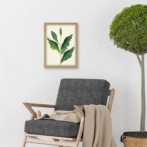 Artery8 - Detail Of Rubber Fig Plant - Light Oak - A4 - Wall Art Artery8 - Detail Of Rubber Fig Plant - Light Oak - A4 - Wall Art